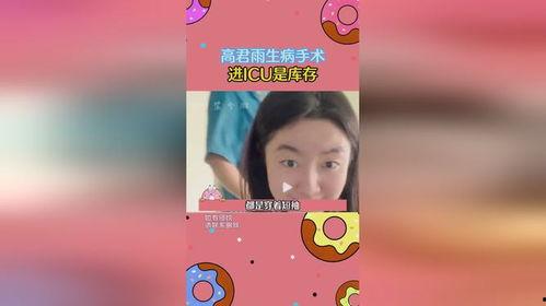 吃瓜神探小说,吃瓜神探的破案传奇