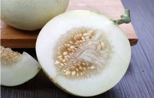 乐吃瓜菌,乐吃瓜菌带你领略美食与娱乐的完美融合