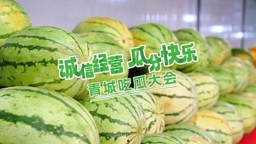 乐吃瓜菌,乐吃瓜菌带你领略美食与娱乐的完美融合