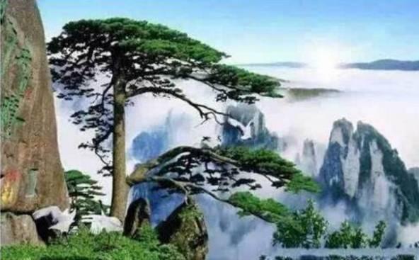 黄山吃瓜趣事,吃瓜趣事背后的黄山风情