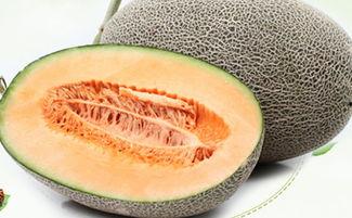 吃催熟哈密瓜,口感与健康的双重享受