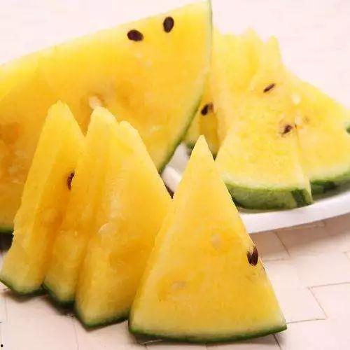 可以吃的绿色瓜,探寻可食用绿色瓜类的美味与营养