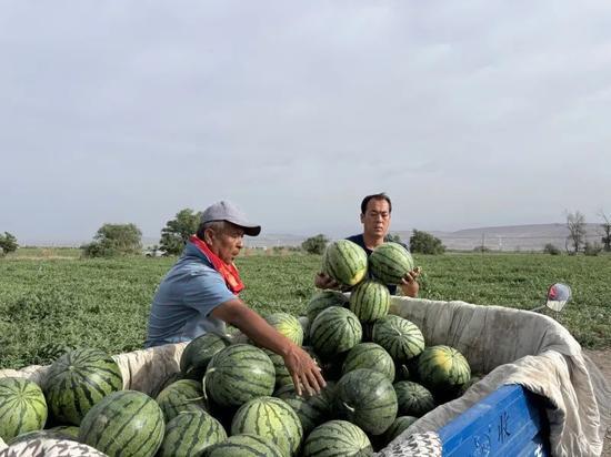 35区吃瓜,揭秘网络热点的背后真相