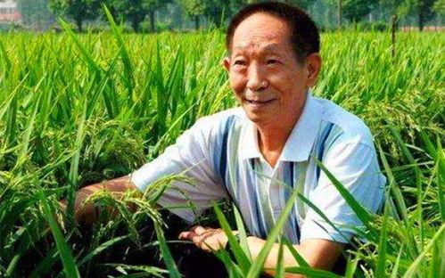 35区吃瓜,揭秘网络热点的背后真相