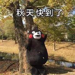 立秋吃瓜表情包,欢乐表情包来袭！