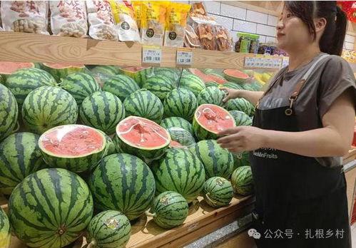 吃麒麟瓜视频,神秘美味背后的故事