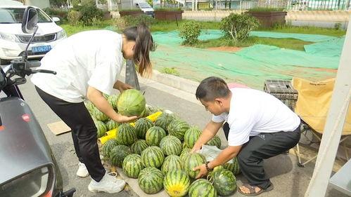 吃麒麟瓜视频,神秘美味背后的故事