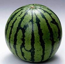 吃瓜图片大全最新,揭秘最新吃瓜图片大全背后的趣味与真相