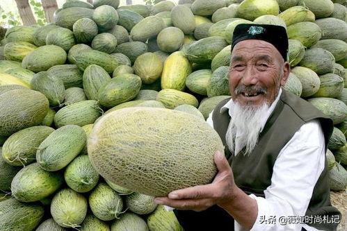 新疆喜欢吃小瓜还是大瓜,小瓜与大瓜的美食对决