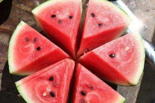 吃瓜急诊,揭秘娱乐圈的幕后真相与医疗救援