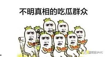吃瓜群众看了什么,揭秘吃瓜群众热议的精彩瞬间