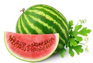 上火的人可以吃瓜吗,西瓜还是火龙果？揭秘水果选择攻略