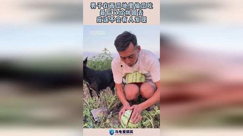 有人偷瓜吃,揭秘偷瓜事件背后的真相