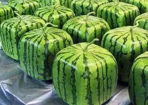 怎么找到吃瓜的人,如何轻松成为吃瓜群众的人生赢家