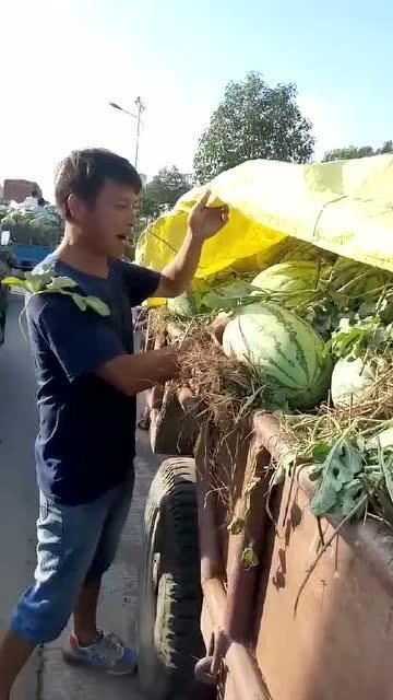 吃瓜的二毛,揭秘娱乐圈那些不为人知的幕后故事