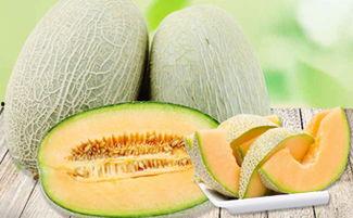 吃哈密瓜会恶心怎么回事,揭秘背后的原因与应对策略