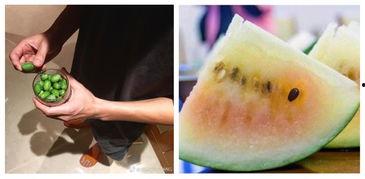 吃瓜群众冰淇淋,清凉一夏的甜蜜诱惑