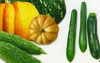 小麒麟瓜怎么吃,解锁美味新体验