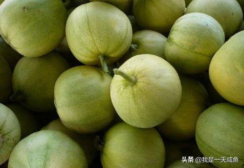 黄皮的瓜怎么吃,解锁美味新体验