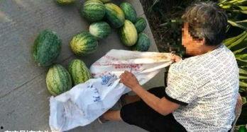 庄河最近吃瓜事件,揭秘背后真相与网络舆论风暴