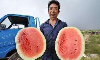 带你吃瓜中考生,揭秘中考生背后的故事与挑战