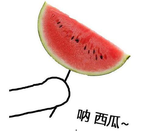 郁闷头吃大瓜,一场解忧的甜蜜之旅