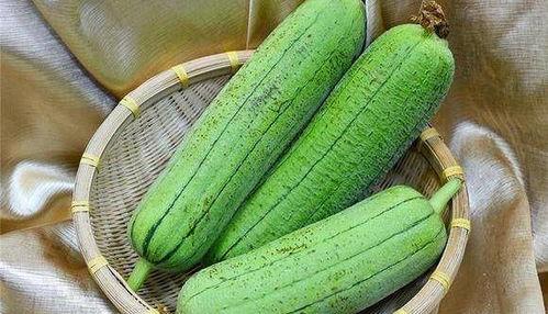 水瓜秋冬吃有毒吗,揭秘季节性食用风险