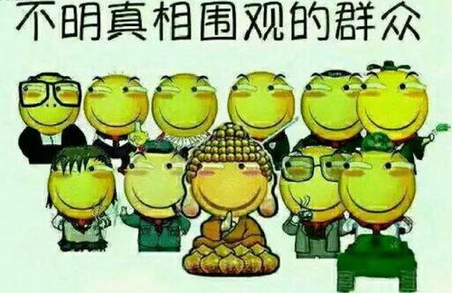 吃瓜群众小鹿妈,揭秘吃瓜群众的日常生活与趣味