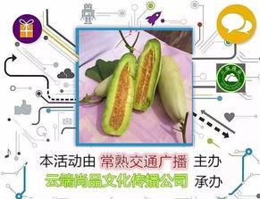 鹦鹉可以吃博洋瓜,揭秘博洋瓜的神奇魅力