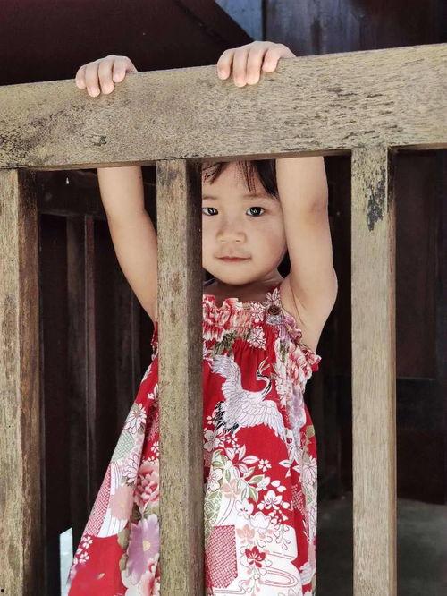 回到民国吃瓜,穿越时空的吃瓜之旅