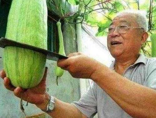 砍瓜就是这么吃的,探索传统美食的创新演绎