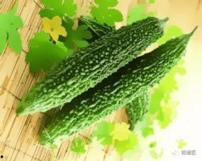 丰收瓜芽可以吃吗