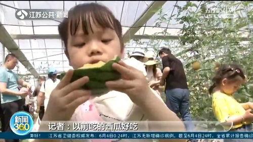 吃瓜现场来了吗,揭秘娱乐圈幕后故事