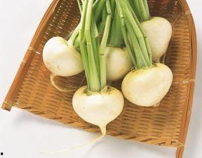 为什么夏吃萝卜冬吃瓜,夏萝卜冬瓜的养生奥秘