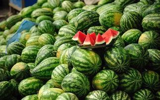 吃胖子瓜,网络热议背后的真相与反思