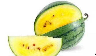 临沂最新的吃瓜,揭秘本地最新热点美食风云