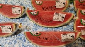 正直吃瓜人,洞察人生百态