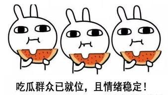 正直吃瓜人,洞察人生百态