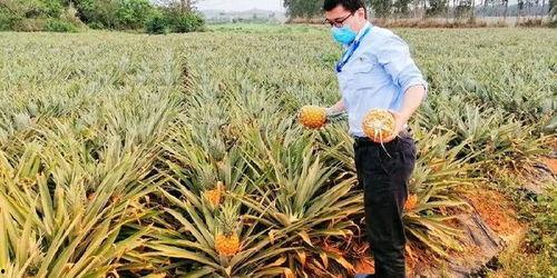 如何整治吃瓜群众问题,构建理性网络舆论生态