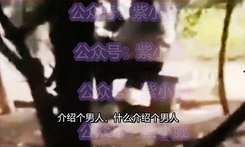 男子吃瓜女友出轨,男子揭露女友出轨真相