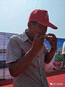 吃瓜诗词大赛,一场别开生面的吃瓜诗词盛宴