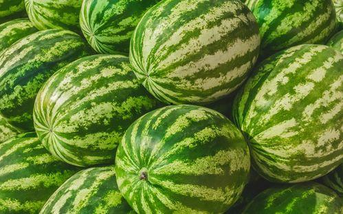 福州超鹿吃瓜,揭秘网络热点的幕后故事