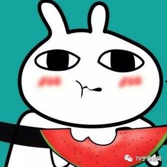 我吃瓜的表情,笑中带泪的欢乐瞬间