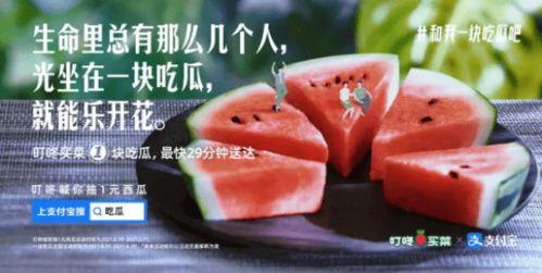 哈哈吃瓜文案句子,揭秘娱乐圈幕后故事