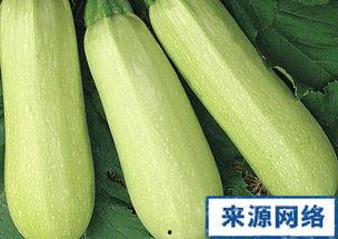 孕期白瓜可以吃吗,孕期白瓜食用指南
