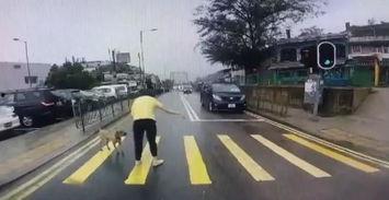 司机下车吃瓜,一瞬间的趣味瞬间