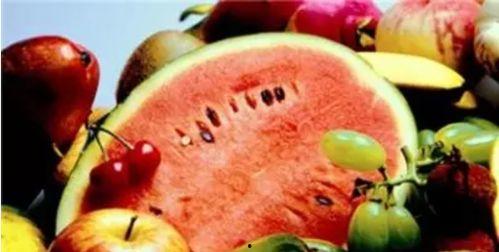 橘桃 吃瓜中,揭秘网络热词背后的趣味与思考