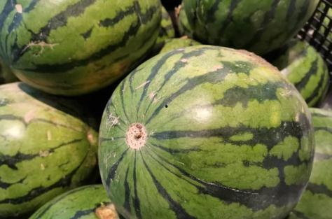 吃瓜放的歌,揭秘流行音乐背后的故事与情感