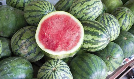 吃瓜放的歌,揭秘流行音乐背后的故事与情感