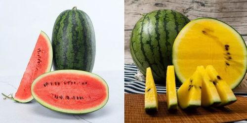 网销吃瓜,揭秘网络营销中的“瓜田”现象